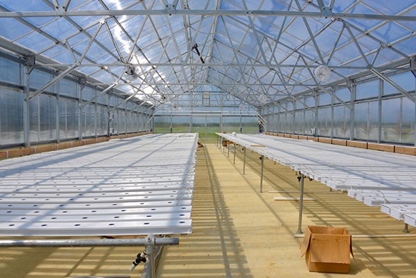 Inside of greenhouse with empty growing tables